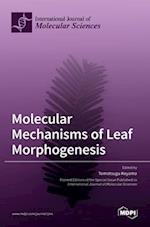 Molecular Mechanisms of Leaf Morphogenesis 
