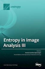 Entropy in Image Analysis III 