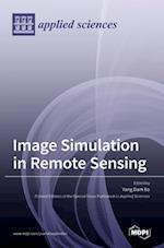 Image Simulation in Remote Sensing