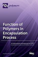 Function of Polymers in Encapsulation Process 