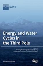 Energy and Water Cycles in the Third Pole 