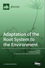 Adaptation of the Root System to the Environment