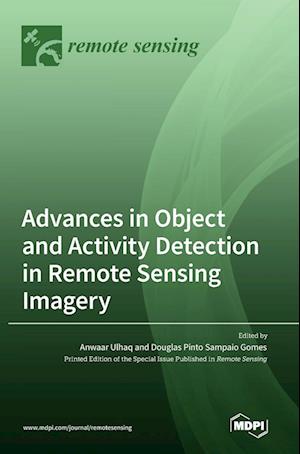 Advances in Object and Activity Detection in Remote Sensing Imagery