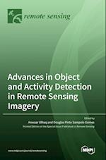 Advances in Object and Activity Detection in Remote Sensing Imagery