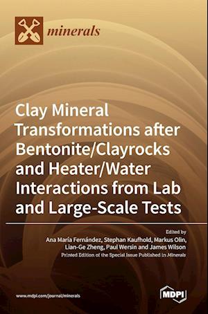 Clay Mineral Transformations after Bentonite/Clayrocks and Heater/Water Interactions from Lab and Large-Scale Tests