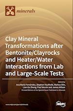 Clay Mineral Transformations after Bentonite/Clayrocks and Heater/Water Interactions from Lab and Large-Scale Tests 