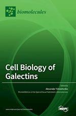 Cell Biology of Galectins