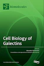 Cell Biology of Galectins