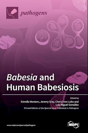 Babesia and Human Babesiosis