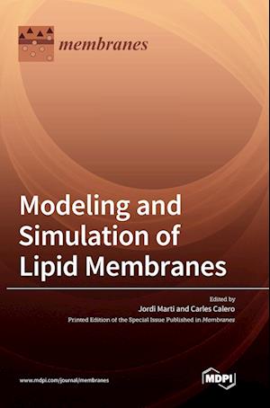 Modeling and Simulation of Lipid Membranes