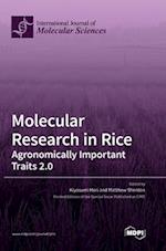 Molecular Research in Rice