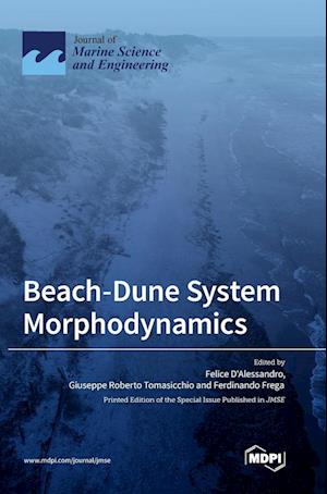 Beach-Dune System Morphodynamics