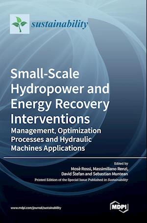 Small-Scale Hydropower and Energy Recovery Interventions