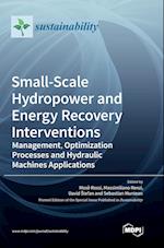 Small-Scale Hydropower and Energy Recovery Interventions