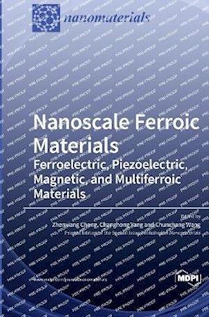 Nanoscale Ferroic Materials