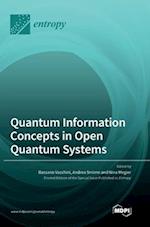 Quantum Information Concepts in Open Quantum Systems 