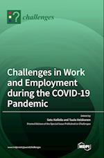 Challenges in Work and Employment during the COVID-19 Pandemic 