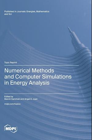 Numerical Methods and Computer Simulations in Energy Analysis