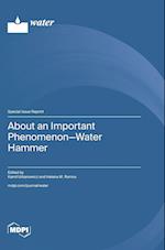 About an Important Phenomenon-Water Hammer