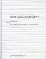 What Is a Museum Now?