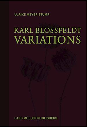 Karl Blossfeldt: Variations