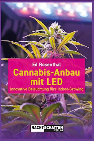 Cannabis-Anbau mit LED