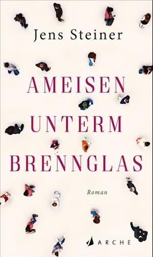 Ameisen unterm Brennglas