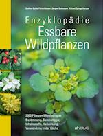Enzyklopädie Essbare Wildpflanzen