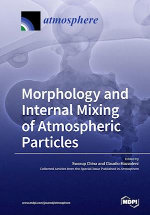 Morphology and Internal Mixing of Atmospheric Particles