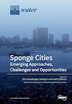 Sponge Cities