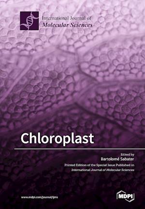 Chloroplast