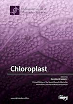 Chloroplast