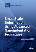 Small Scale Deformation Using Advanced Nanoindentation Techniques