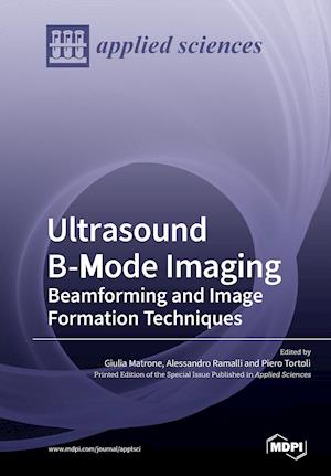 Ultrasound B-Mode Imaging