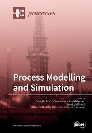 Process Modelling and Simulation