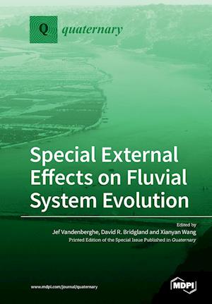 Special External Effects on Fluvial System Evolution