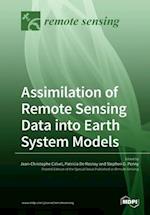 Assimilation of Remote Sensing Data into Earth System Models