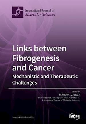 Links between Fibrogenesis and Cancer