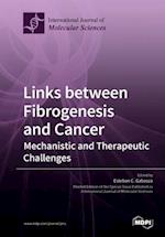 Links between Fibrogenesis and Cancer