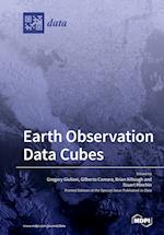 Earth Observation Data Cubes