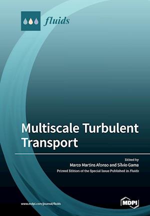 Multiscale Turbulent Transport