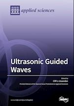 Ultrasonic Guided Waves 