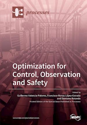 Optimization for Control, Observation and Safety