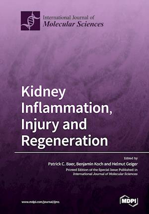 Kidney Inflammation, Injury and Regeneration