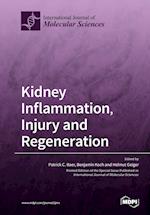 Kidney Inflammation, Injury and Regeneration 