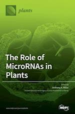 The Role of MicroRNAs in Plants 
