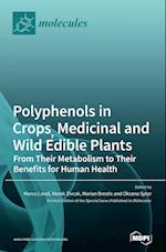 Polyphenols in Crops, Medicinal and Wild Edible Plants