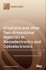 Graphene and other Two-dimensional Materials in Nanoelectronics and Optoelectronics 