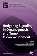 Hedgehog Signaling in Organogenesis and Tumor Microenvironment 