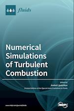 Numerical Simulations of Turbulent Combustion 